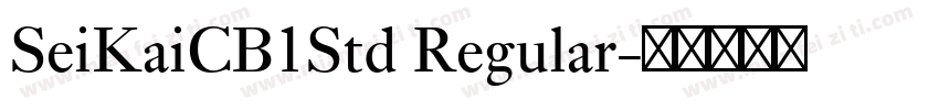 SeiKaiCB1Std Regular字体转换